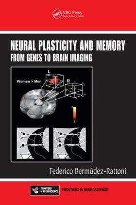 Bermudez-Rattoni |  Neural Plasticity and Memory | Buch |  Sack Fachmedien