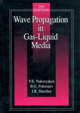 Nakoryakov / Pokusaev / Shreiber |  Wave Propagation in Gas-Liquid Media | Buch |  Sack Fachmedien