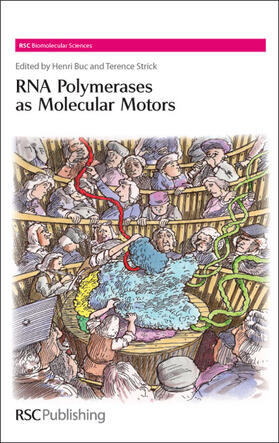 Buc / Strick |  RNA Polymerases as Molecular Motors | Buch |  Sack Fachmedien