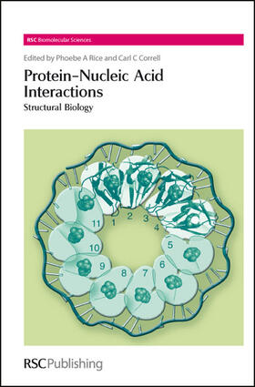 Rice / Correll |  Protein-Nucleic Acid Interactions | Buch |  Sack Fachmedien