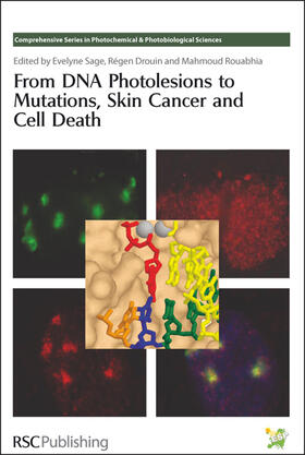 Hader / Sage / Drouin |  From DNA Photolesions to Mutations, Skin Cancer and Cell Death | Buch |  Sack Fachmedien