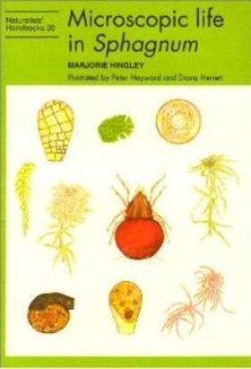 Hingley |  Microscopic Life in Sphagnum | Buch |  Sack Fachmedien