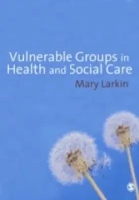 Larkin |  Vulnerable Groups in Health and Social Care | eBook | Sack Fachmedien