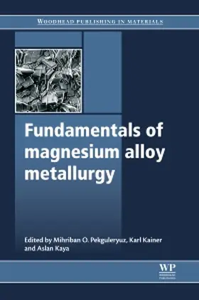 Pekguleryuz / Kainer / Kaya |  Fundamentals of Magnesium Alloy Metallurgy | Buch |  Sack Fachmedien