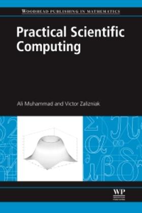 Ali / Zalizniak | Practical Scientific Computing | Buch | 978-0-85709-225-0 | sack.de