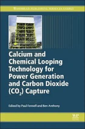 Fennell / Anthony |  Calcium and Chemical Looping Technology for Power Generation | Buch |  Sack Fachmedien