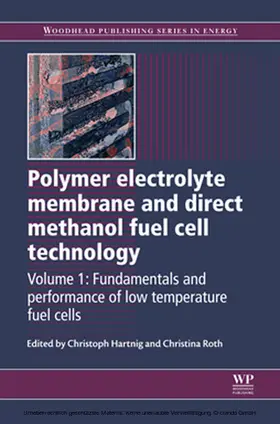 Hartnig / Roth |  Polymer Electrolyte Membrane and Direct Methanol Fuel Cell Technology | eBook | Sack Fachmedien