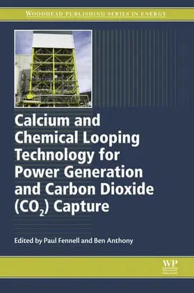 Fennell / Anthony |  Calcium and Chemical Looping Technology for Power Generation and Carbon Dioxide (CO2) Capture | eBook | Sack Fachmedien