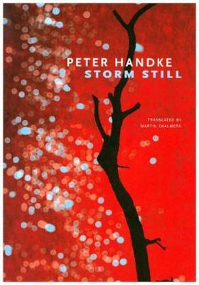 Handke |  Storm Still | Buch |  Sack Fachmedien