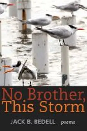 Bedell |  No Brother This Storm | Buch |  Sack Fachmedien