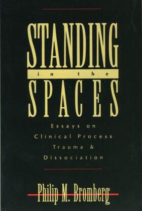 Bromberg |  Standing in the Spaces | Buch |  Sack Fachmedien