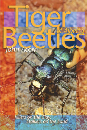 Acorn |  Tiger Beetles of Alberta | Buch |  Sack Fachmedien