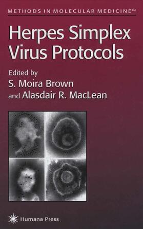 MacLean / Brown |  Herpes Simplex Virus Protocols | Buch |  Sack Fachmedien