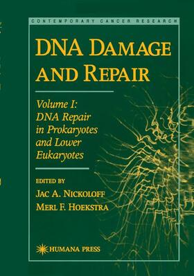 Hoekstra / Nickoloff |  DNA Damage and Repair | Buch |  Sack Fachmedien