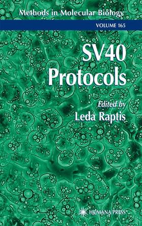 Raptis |  SV40 Protocols | Buch |  Sack Fachmedien