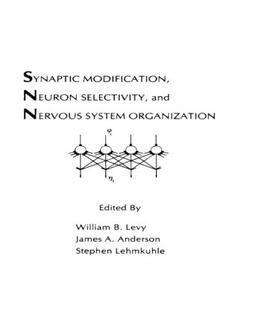 Levy / Anderson / Lehmkuhle |  Synaptic Modification, Neuron Selectivity, and Nervous System Organization | Buch |  Sack Fachmedien
