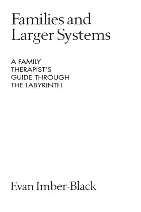 Imber-Black |  Families and Larger Systems | Buch |  Sack Fachmedien