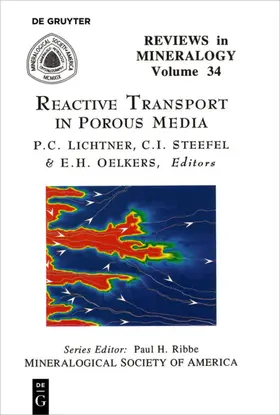 Lichtner / Oelkers / Steefel |  Reactive Transport in Porous Media | Buch |  Sack Fachmedien