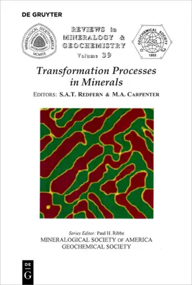 Carpenter / Redfern |  Transformation Processes in Minerals | Buch |  Sack Fachmedien