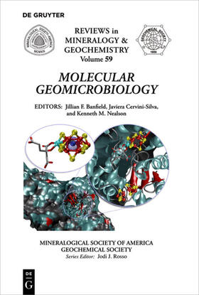 Banfield / Nealson / Cervini-Silva |  Molecular Geomicrobiology | Buch |  Sack Fachmedien