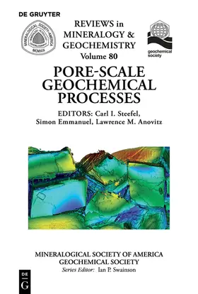 Steefel |  Pore Scale Geochemical Processes | Buch |  Sack Fachmedien