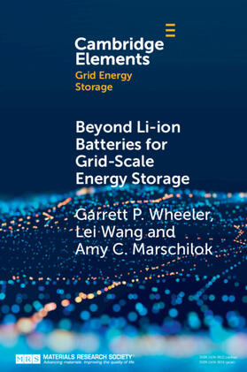 Wheeler / Wang / Marschilok |  Beyond Li-ion Batteries for Grid-Scale Energy Storage | Buch |  Sack Fachmedien