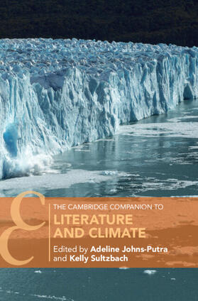 Johns-Putra / Sultzbach |  The Cambridge Companion to Literature and Climate | Buch |  Sack Fachmedien