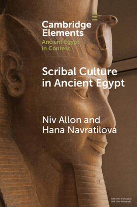 Allon / Navratilova |  Scribal Culture in Ancient Egypt | Buch |  Sack Fachmedien