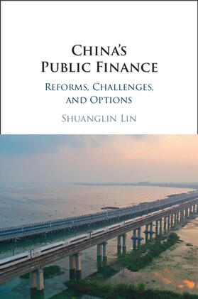 Lin |  China's Public Finance | Buch |  Sack Fachmedien