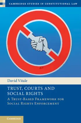 Vitale |  Trust, Courts and Social Rights | Buch |  Sack Fachmedien