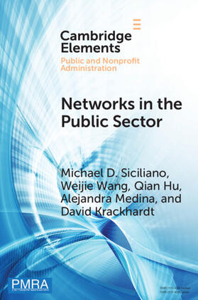 Siciliano / Wang / Hu |  Networks in the Public Sector | Buch |  Sack Fachmedien