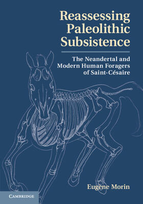 Morin |  Reassessing Paleolithic Subsistence | Buch |  Sack Fachmedien