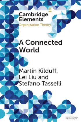 Kilduff / Liu / Tasselli |  A Connected World | Buch |  Sack Fachmedien