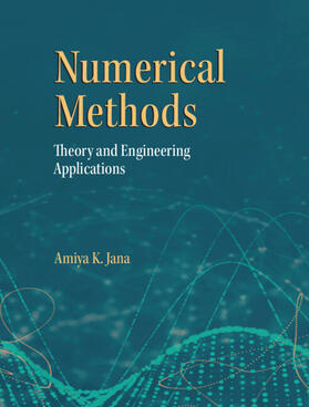 Jana |  Numerical Methods | Buch |  Sack Fachmedien