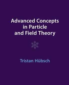 Hübsch |  Advanced Concepts in Particle and Field Theory | Buch |  Sack Fachmedien