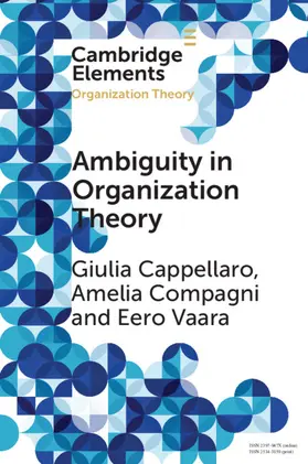 Cappellaro / Compagni / Vaara |  Ambiguity in Organization Theory | Buch |  Sack Fachmedien