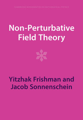 Frishman / Sonnenschein |  Non-Perturbative Field Theory | Buch |  Sack Fachmedien