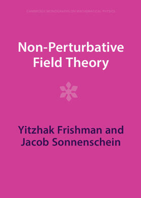 Frishman / Sonnenschein |  Non-Perturbative Field Theory | Buch |  Sack Fachmedien