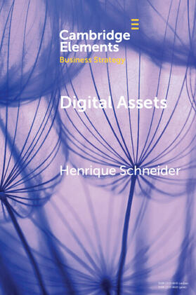 Schneider |  Digital Assets | Buch |  Sack Fachmedien