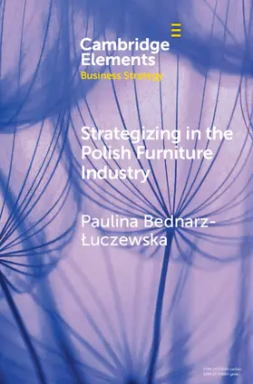 Bednarz-Luczewska |  Strategizing in the Polish Furniture Industry | Buch |  Sack Fachmedien