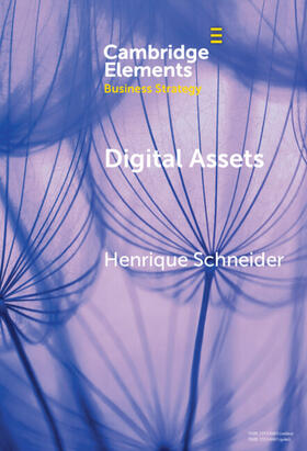 Schneider |  Digital Assets | Buch |  Sack Fachmedien