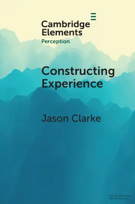 Clarke |  Constructing Experience | Buch |  Sack Fachmedien