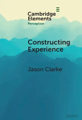 Clarke |  Constructing Experience | Buch |  Sack Fachmedien