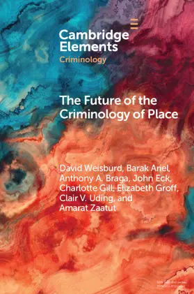 Weisburd / Ariel / Braga |  The Future of the Criminology of Place | Buch |  Sack Fachmedien