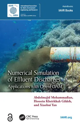 Mohammadian / Gildeh / Yan |  Numerical Simulation of Effluent Discharges | Buch |  Sack Fachmedien