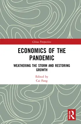 Fang |  Economics of the Pandemic | Buch |  Sack Fachmedien