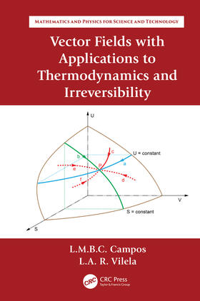 Raio Vilela / Braga da Costa Campos |  Vector Fields with Applications to Thermodynamics and Irreversibility | Buch |  Sack Fachmedien