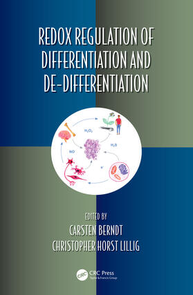 Berndt / Lillig |  Redox Regulation of Differentiation and De-Differentiation | Buch |  Sack Fachmedien