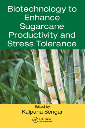 Sengar |  Biotechnology to Enhance Sugarcane Productivity and Stress Tolerance | Buch |  Sack Fachmedien