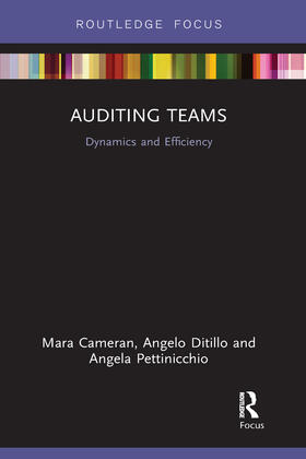 Cameran / Ditillo / Pettinicchio |  Auditing Teams | Buch |  Sack Fachmedien